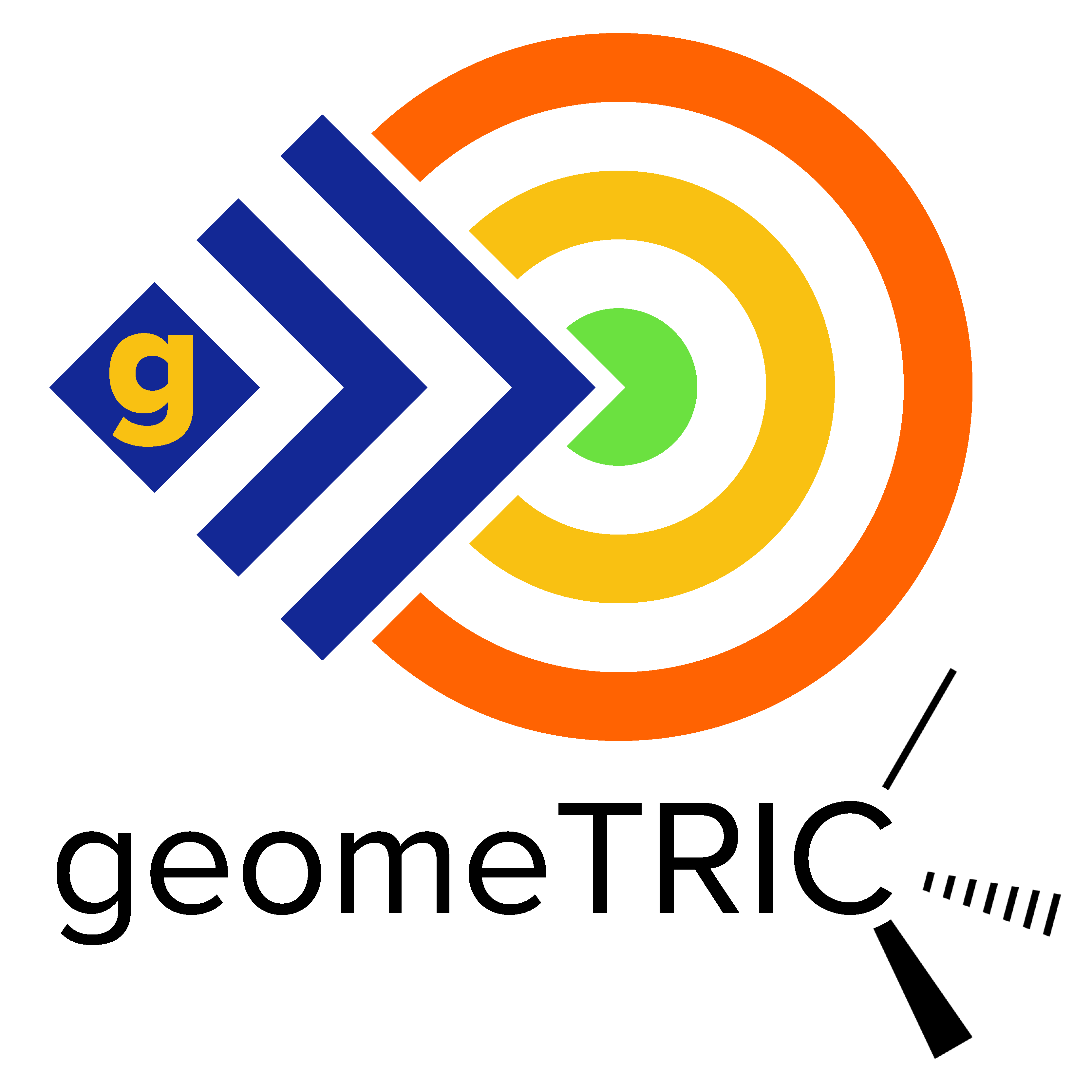 _images/geometric-logo.png